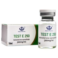 Test E 250 Maha Pharma
